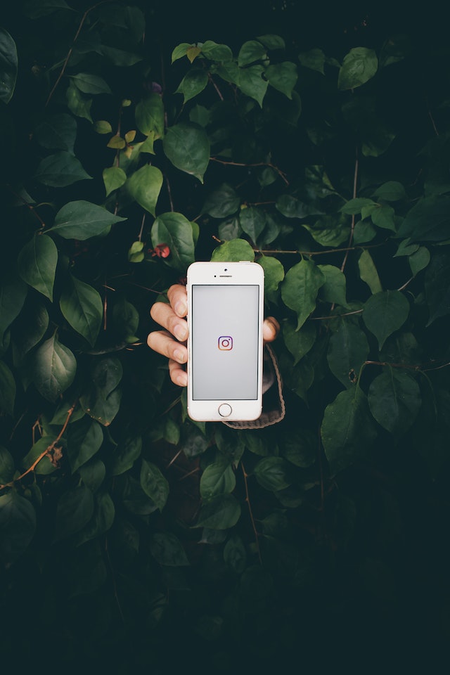 Comment réactiver Instagram et revenir en ligne aujourd'hui, image №3