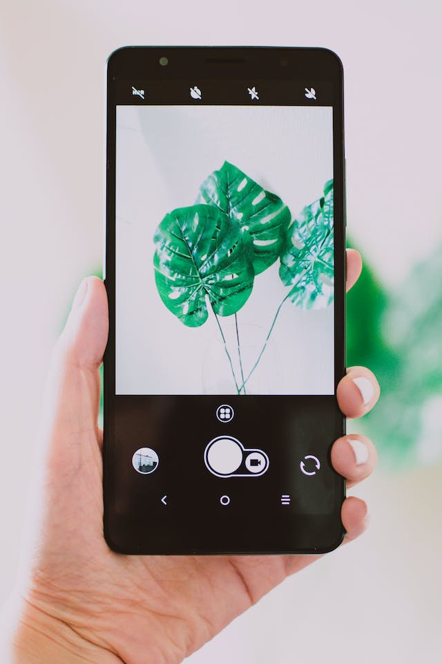 Kreative Instagram Feed-Design-Tipps für die Gestaltung Ihrer Seite, Bild №6