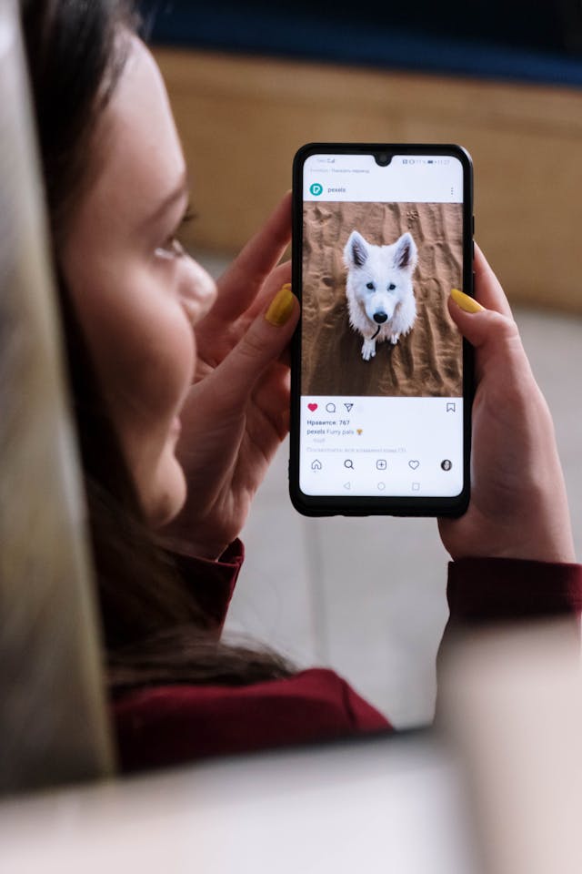 Eine Person, die ein mobiles Gerät in der Hand hält und einen Hund auf einem Instagram Pfosten betrachtet.