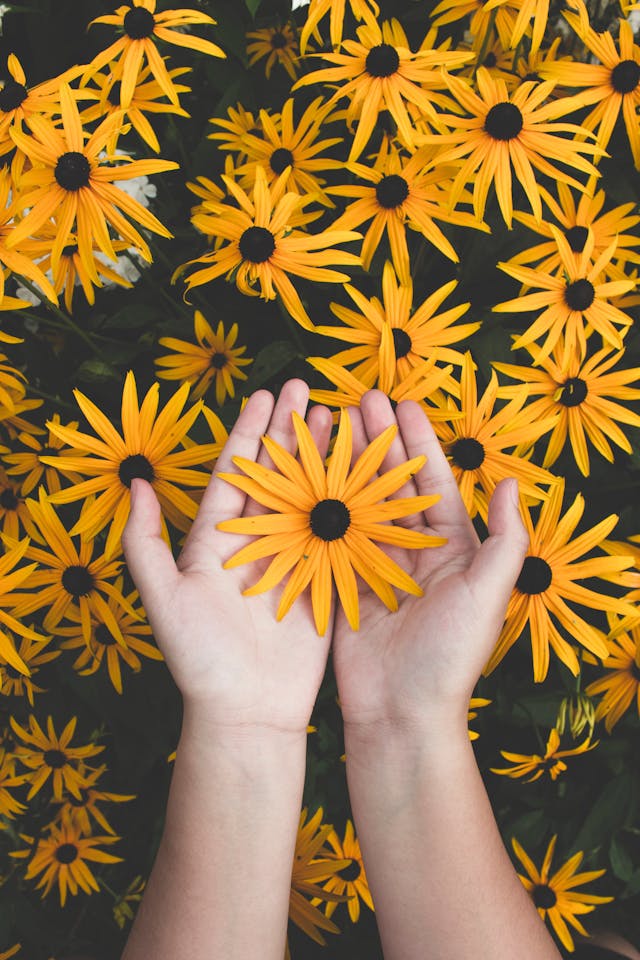 99+ Didascalie per fiori Instagram [Affascinante, ottimista], immagine №2