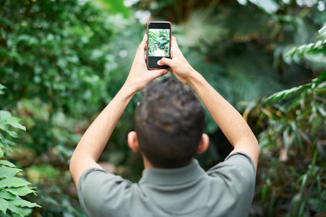 O que é o alcance em Instagram, e é importante?