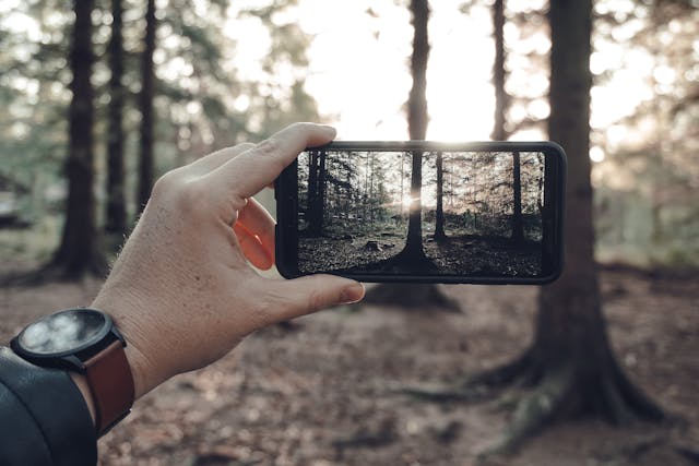 Wie man ein Influencer auf Instagram wird: Ihr vollständiger Leitfaden